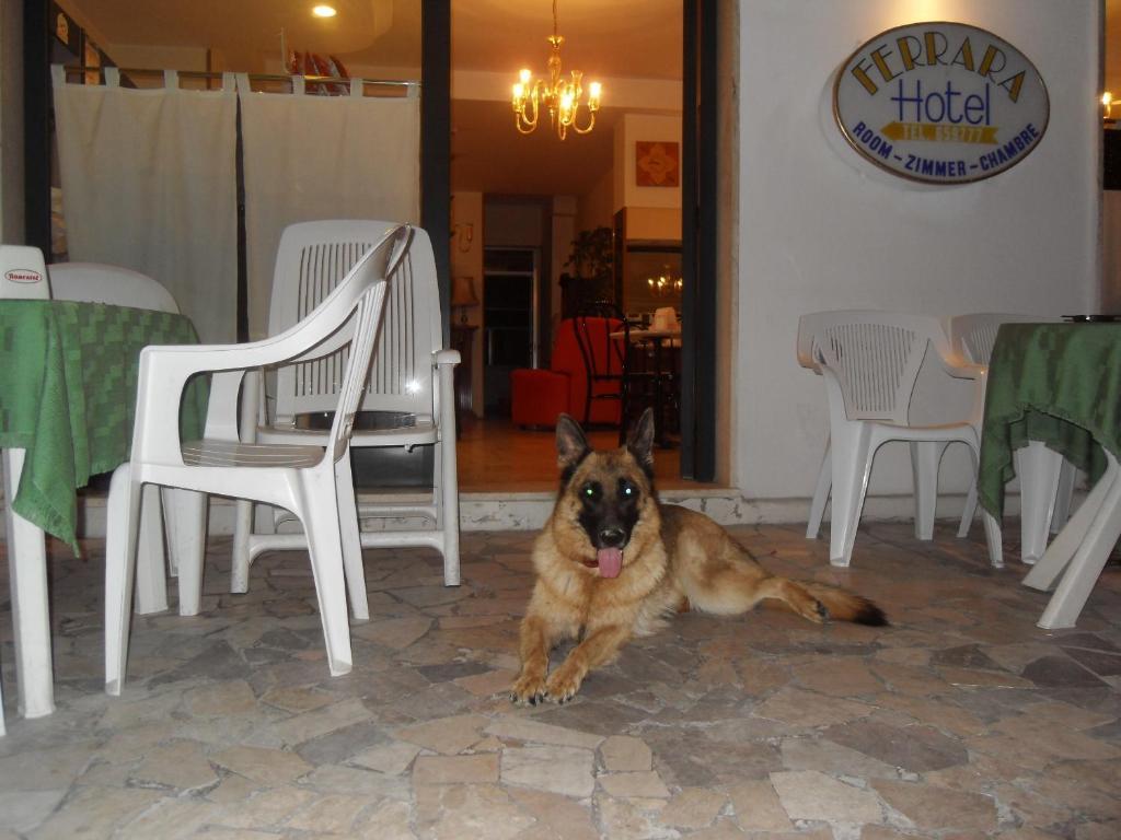 Hotel Ferrara San Benedetto del Tronto Extérieur photo